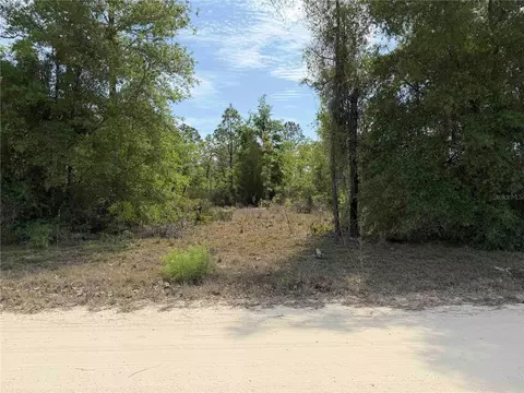 tbd NE 110 Ave, Bronson, FL 32621 photo 6