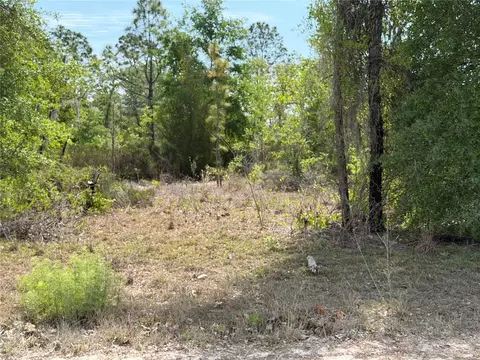 tbd NE 110 Ave, Bronson, FL 32621 photo 4