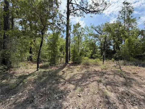tbd NE 110 Ave, Bronson, FL 32621 photo 2