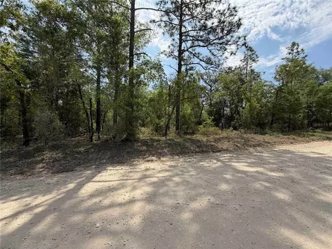tbd NE 110 Ave, Bronson, FL 32621 photo 9