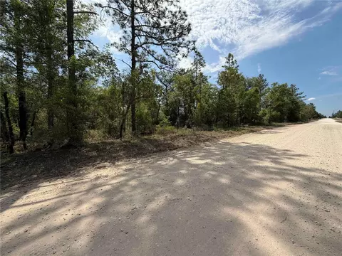 tbd NE 110 Ave, Bronson, FL 32621 photo 10