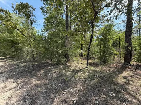 tbd NE 110 Ave, Bronson, FL 32621 photo 3