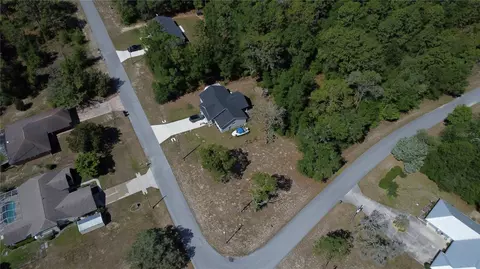 tbd NE 152 Ter, Williston, FL 32696 photo 8