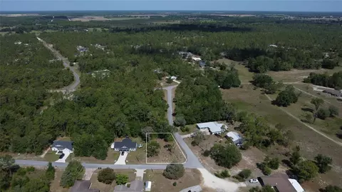 tbd NE 152 Ter, Williston, FL 32696 photo 4