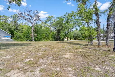 tbd NE 152 Ter, Williston, FL 32696 photo 5