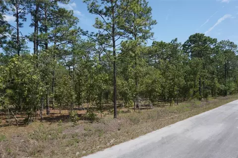 tbd NW Tree Top Rd, Dunnellon, FL 34431