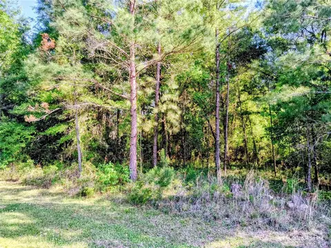 tbd NW 142nd St, Williston, FL 32696