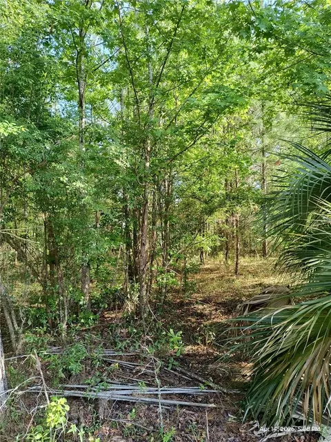 tbd NW 141st Ave, Williston, FL 32696 photo 5