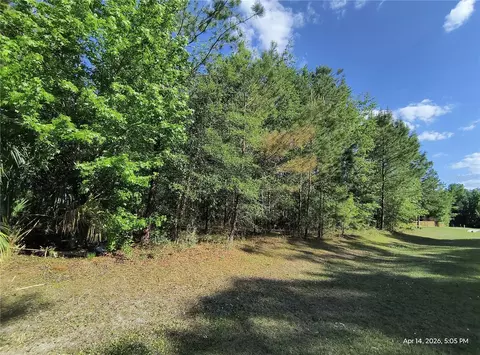 tbd NW 141st Ave, Williston, FL 32696 photo 4