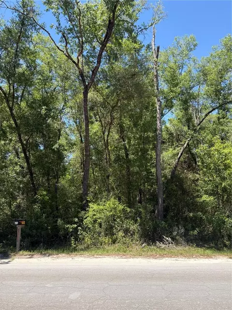 Ne 7th Place, Williston, FL 32696