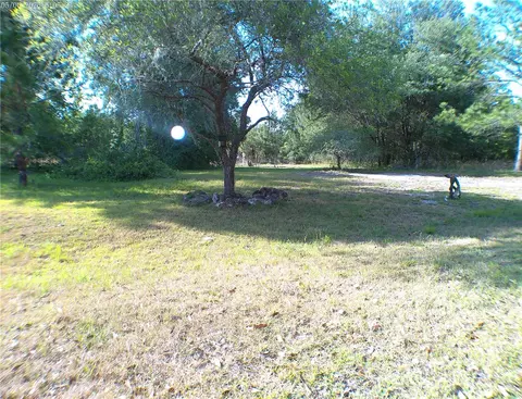 Sequoia Drive Trace, Ocklawaha, FL 32179