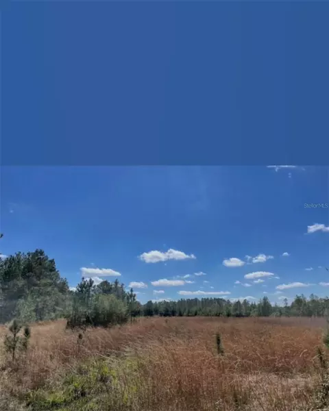 Ne 124th Ter, Fort Mc Coy, FL 32134