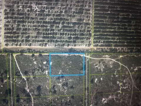 733 N Tarry Ln, Lorida, FL 33857 photo 3