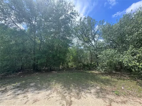 11548 NE 62nd Ln, Williston, FL 32696