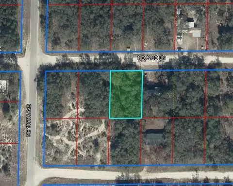 11548 NE 62nd Ln, Williston, FL 32696