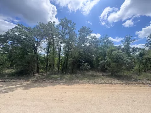 tbd NE 119th Ter, Williston, FL 32696