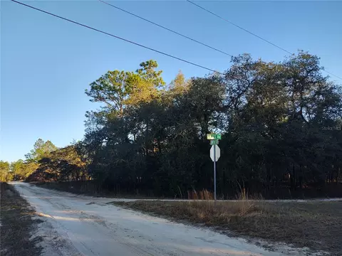 tbd SW 81st St SW, Dunnellon, FL 34432