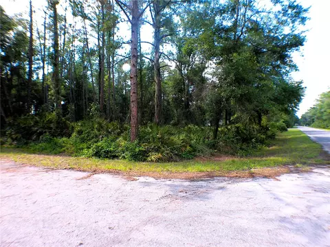 Sequoia Drive, Ocklawaha, FL 32179