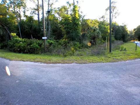 Sequoia Drive, Ocklawaha, FL 32179