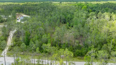 3623 Conifer Ln, Ormond Beach, FL 32174 photo 9