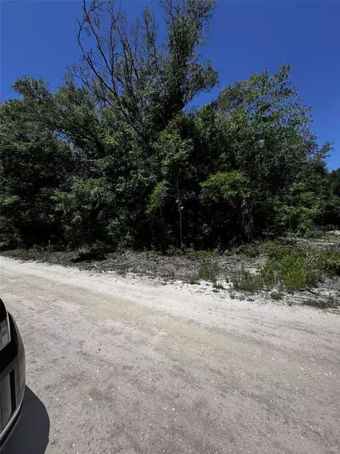 0 SW 104th Ln, Dunnellon, FL 34432