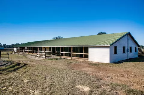 2351 NE 120 Ave, Williston, FL 32696 photo 3