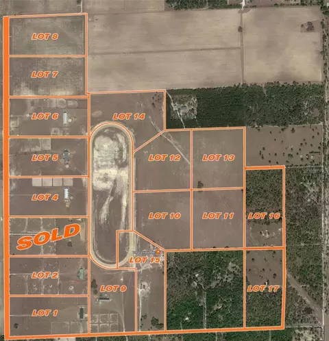 2351 NE 120 Ave, Williston, FL 32696 photo 8