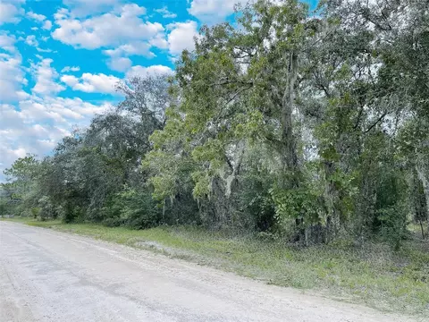 14250 SE 2nd St, Williston, FL 32696