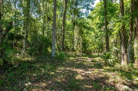 00 NW Hwy 225, Reddick, FL 32686 photo 4