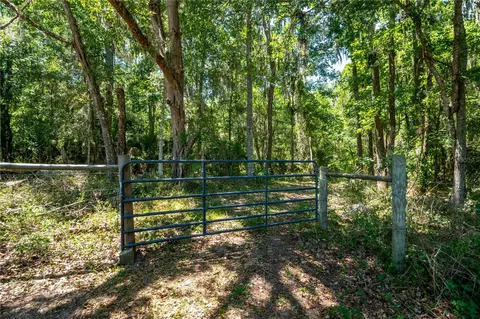 00 NW Hwy 225, Reddick, FL 32686 photo 5