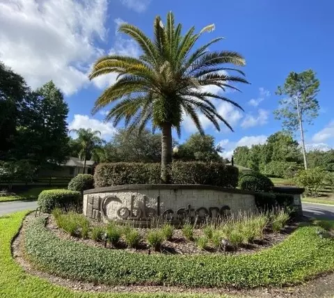 tbd SE 41st Ave, Belleview, FL 34420 photo 3