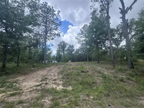 tbd NE 16th Pl, Williston, FL 32696 photo 2