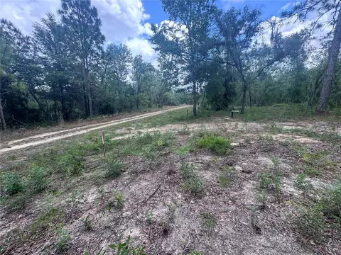 tbd NE 16th Pl, Williston, FL 32696 photo 6
