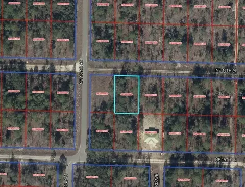 tbd NE 16th Pl, Williston, FL 32696