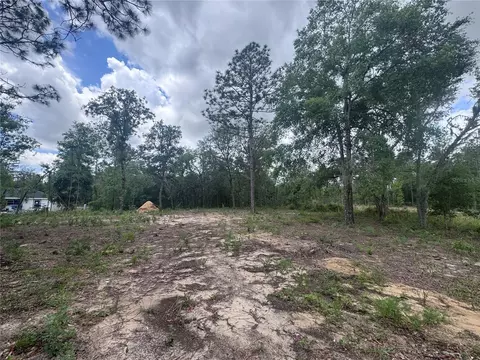 tbd NE 16th Pl, Williston, FL 32696 photo 3