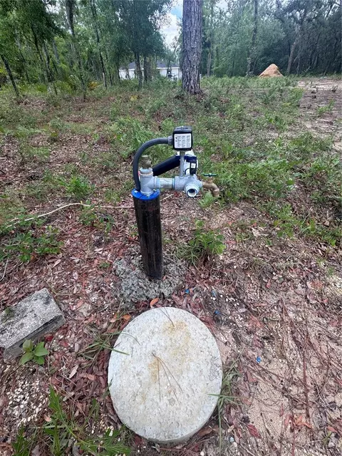 tbd NE 16th Pl, Williston, FL 32696