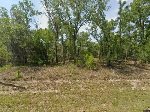 1900 W Magenta Dr, Dunnellon, FL 34434