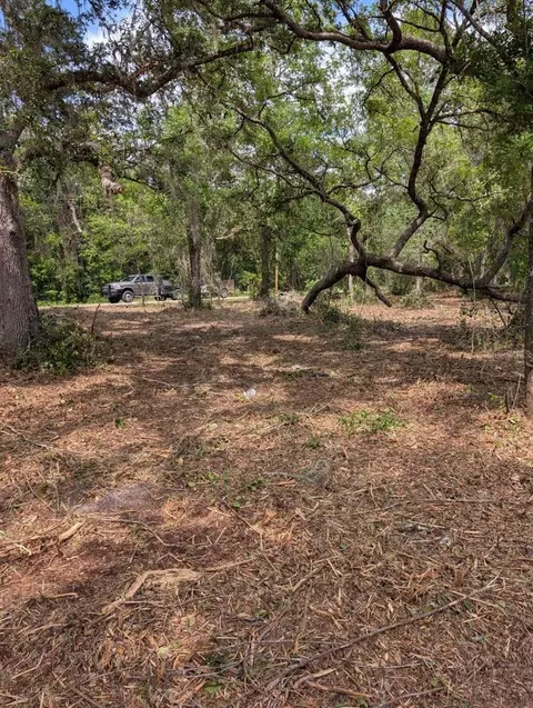 0 NE 220th St, Fort Mc Coy, FL 32134