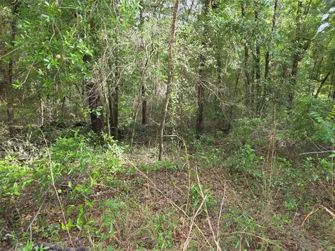 0000 NE 85th St, Bronson, FL 32621