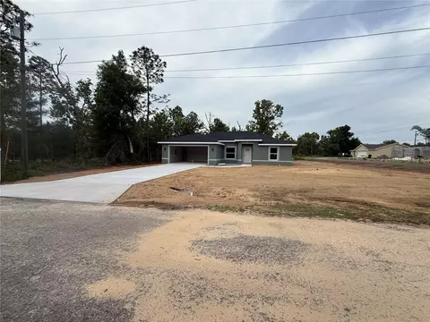 3 Guava Place Dr, Ocklawaha, FL 32179