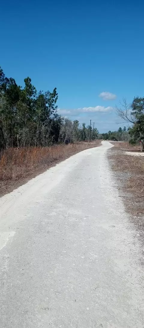 00 NE 151st Ave NE, Williston, FL 32696 photo 2