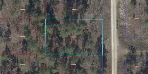 00 NE 151st Ave, Williston, FL 32696