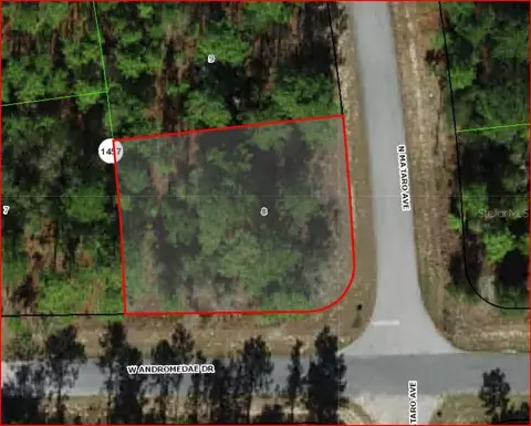 11016 N Mataro Ave, Citrus Springs, FL 34434