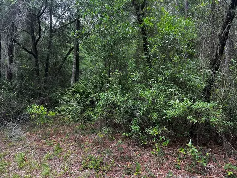 tbd SW 186th Ct, Dunnellon, FL 34432