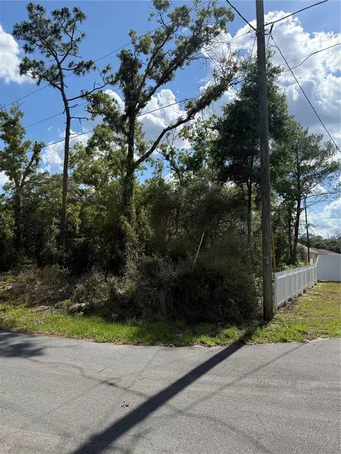 tbd Oak Pass Run, Ocala, FL 34472 photo 10