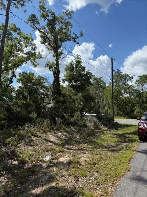 tbd Oak Pass Run, Ocala, FL 34472 photo 8
