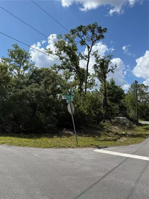 tbd Oak Pass Run, Ocala, FL 34472 photo 4