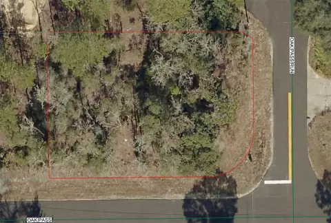 tbd Oak Pass Run, Ocala, FL 34472 photo 2