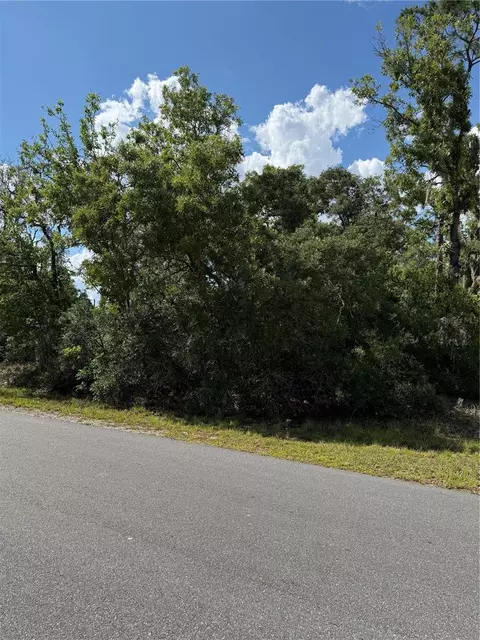 tbd Oak Pass Run, Ocala, FL 34472 photo 5