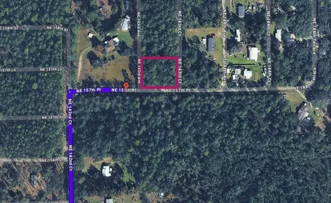 0 NE 157 Pl, Fort Mc Coy, FL 32134